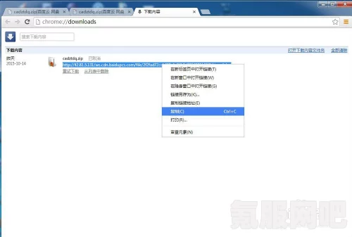 迅雷网盘取回功能详解，定义与使用指南