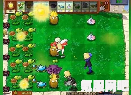 植物大战僵尸杂交版冒险第5关攻略详解与问答环节
