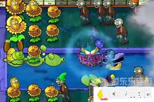 植物大战僵尸杂交版冒险第2关攻略详解与问答环节
