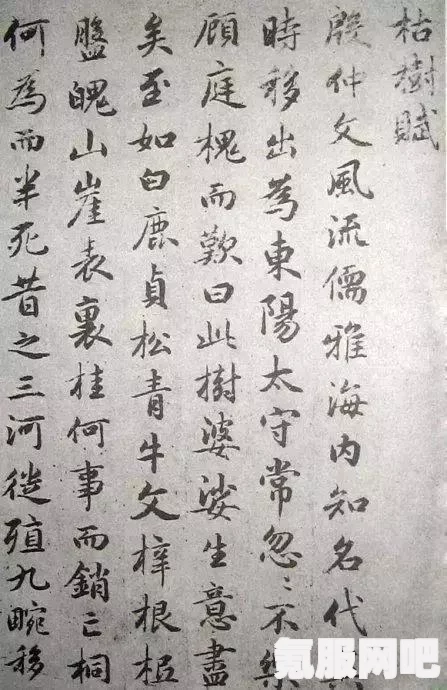墨迹大侠武器选择攻略，如何挑选最适合你的武器？