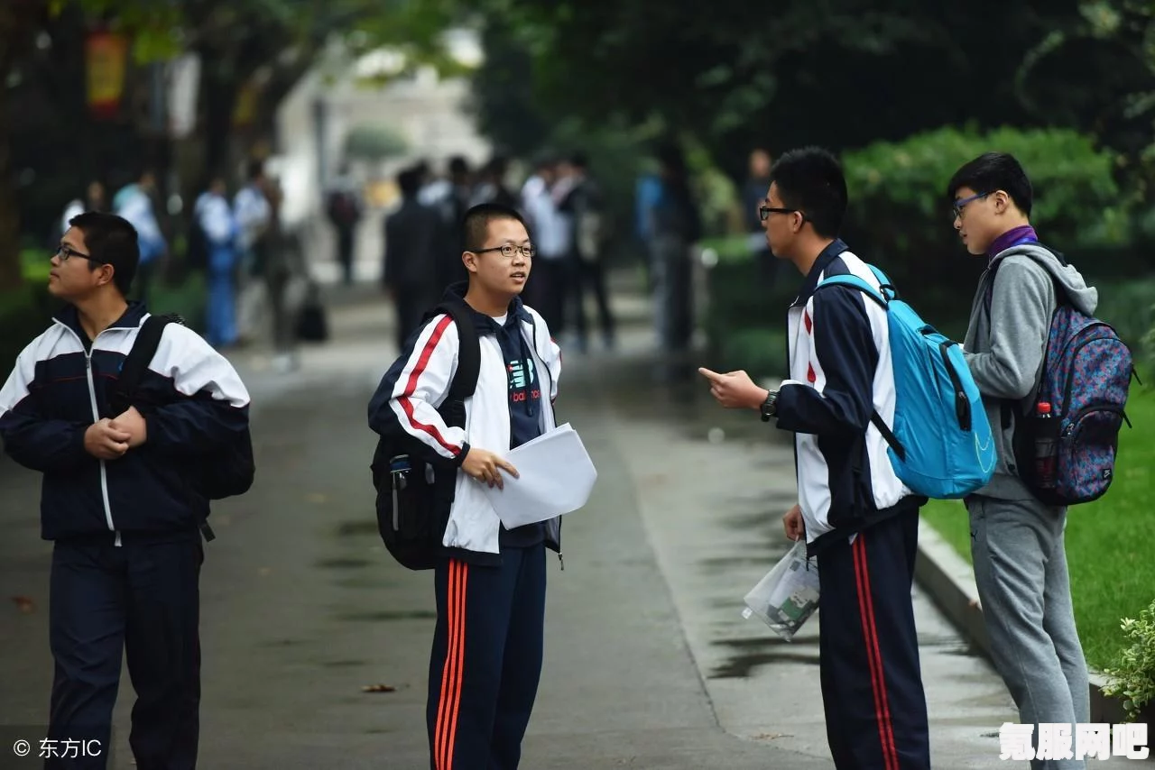 浙江选考学考成绩查询指南，详细解读查询地址与流程