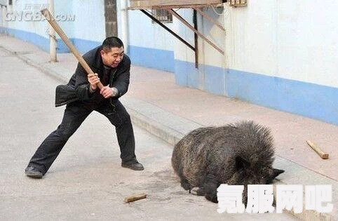 大侠立志传野猪王的招募攻略详解