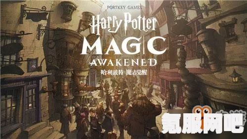哈利波特魔法觉醒，龙骑士黑刺李木的全面解析