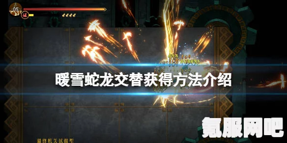 暖雪真相揭秘与见闻录攻略探索全解析