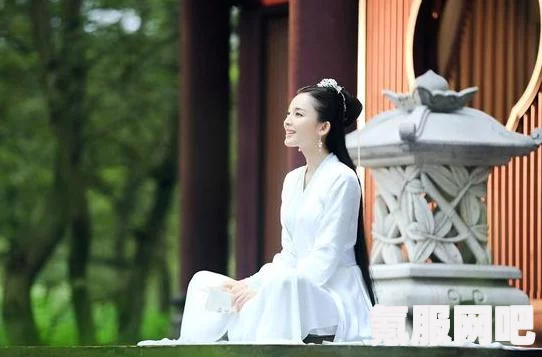 苹果用户如何下载迷离物业平台追剧app及其下载地址详解
