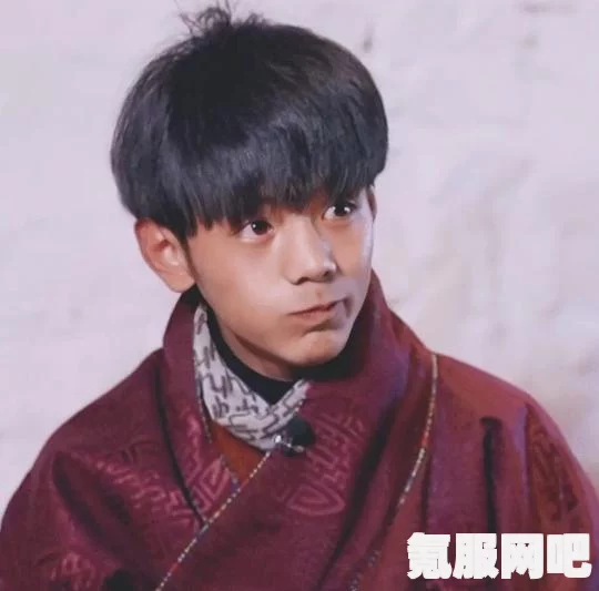 微信小老虎图标与状态设置指南