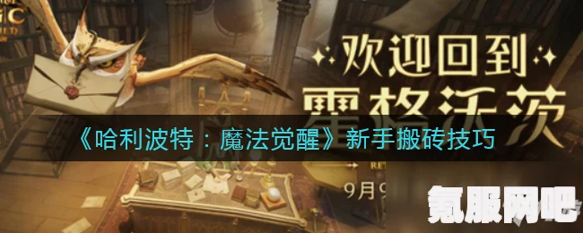哈利波特魔法觉醒，新生绑定攻略及常见问题解答
