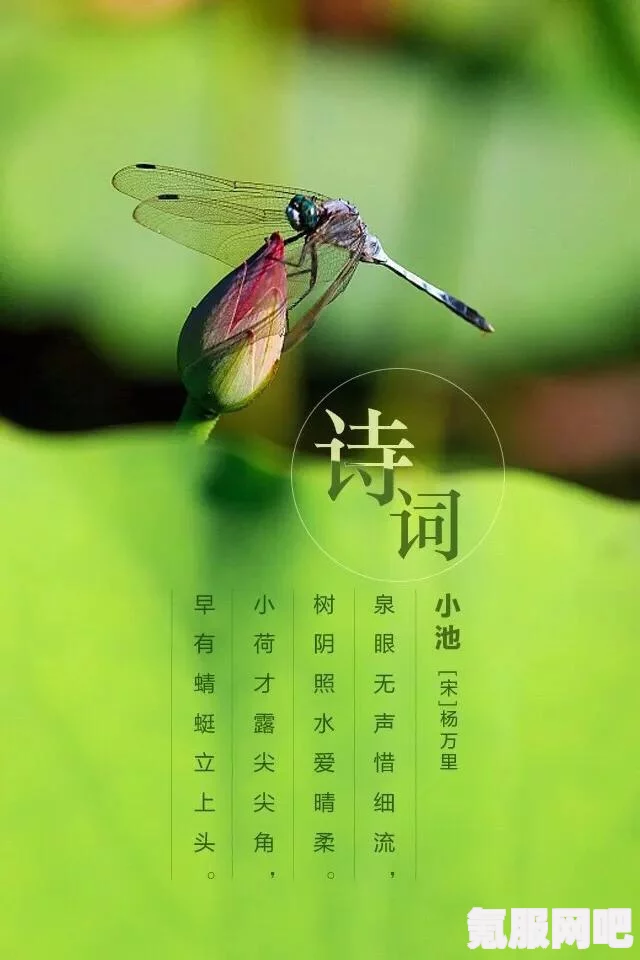 第五人格二十四节气立夏篇玩法详解与攻略，玩转立夏盛宴