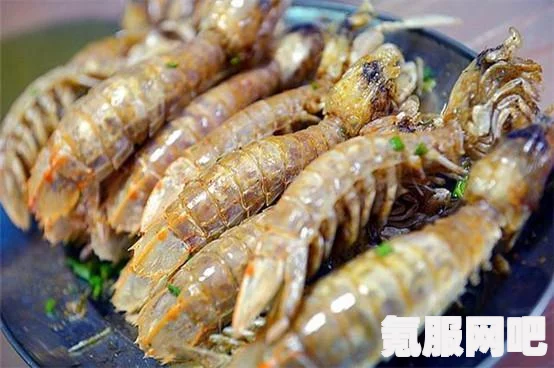 光遇潜海季，海洋生物探索指南——皮皮虾与大龙的神秘寻觅之旅