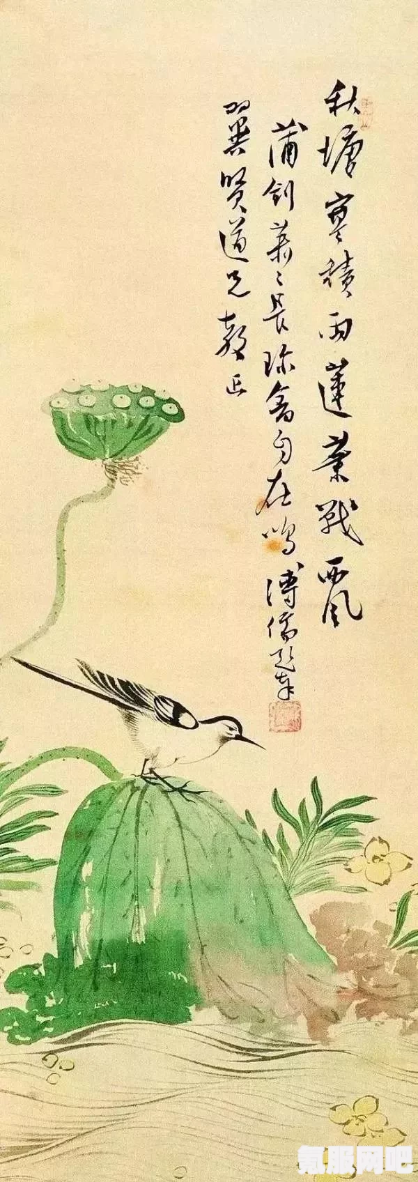 鸣潮秋水角色深度解析与档案介绍