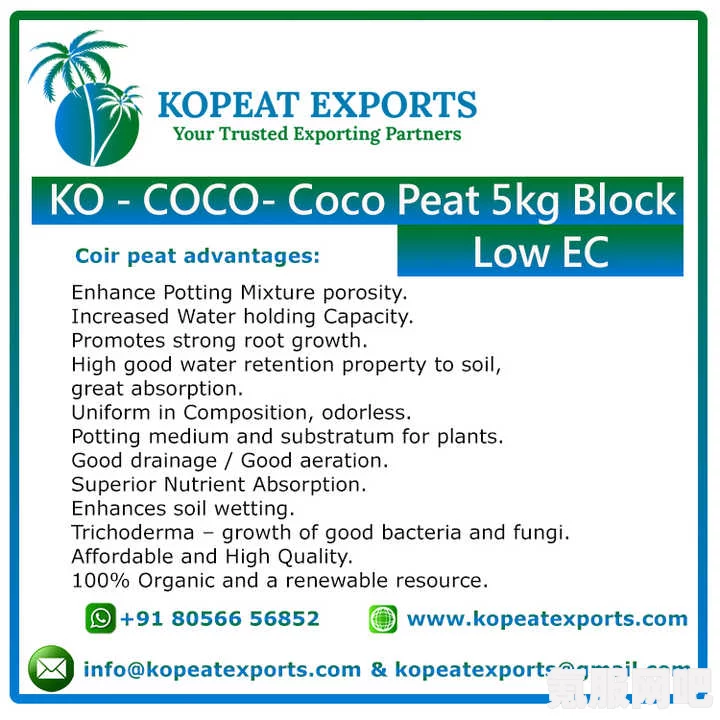 xapk下载与安装CoconutShake的方法详解