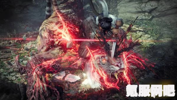 卧龙苍天陨落五星饰品速刷攻略详解