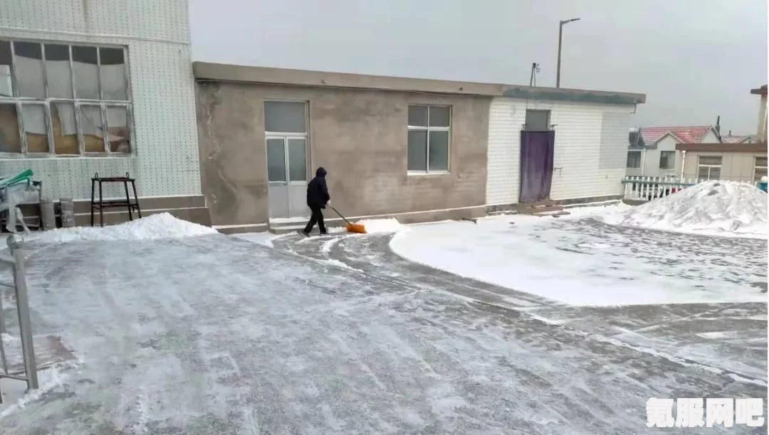 暖雪全BOSS攻略详解，战斗技巧与策略分享