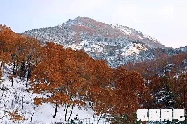 暖雪全BOSS打法攻略详解