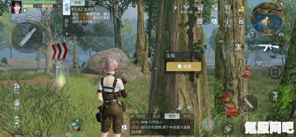 黎明觉醒，红木林地最高峰之巅探寻