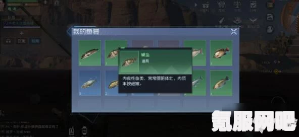 黎明觉醒，黑鲈钓取攻略及常见问题解答