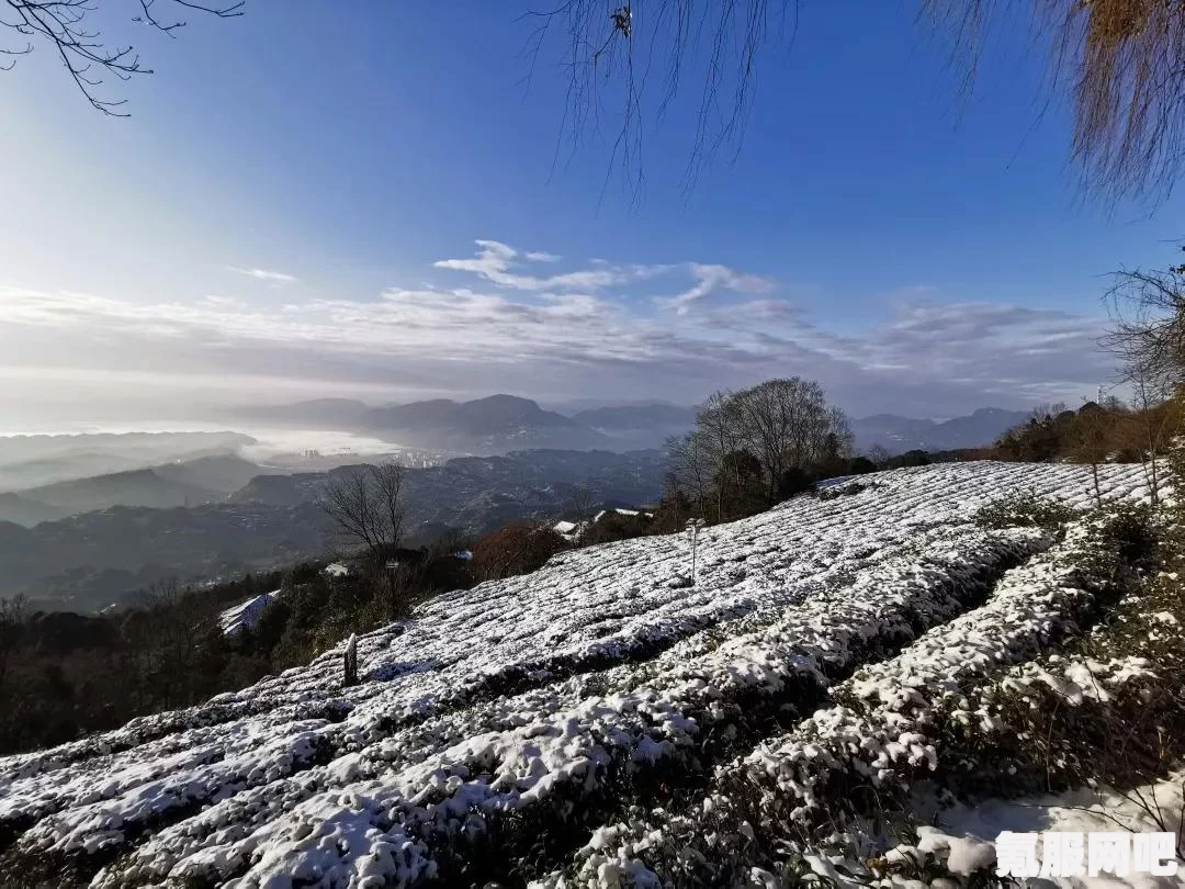 暖雪全成就解锁攻略，探索隐藏的成就与荣耀之路