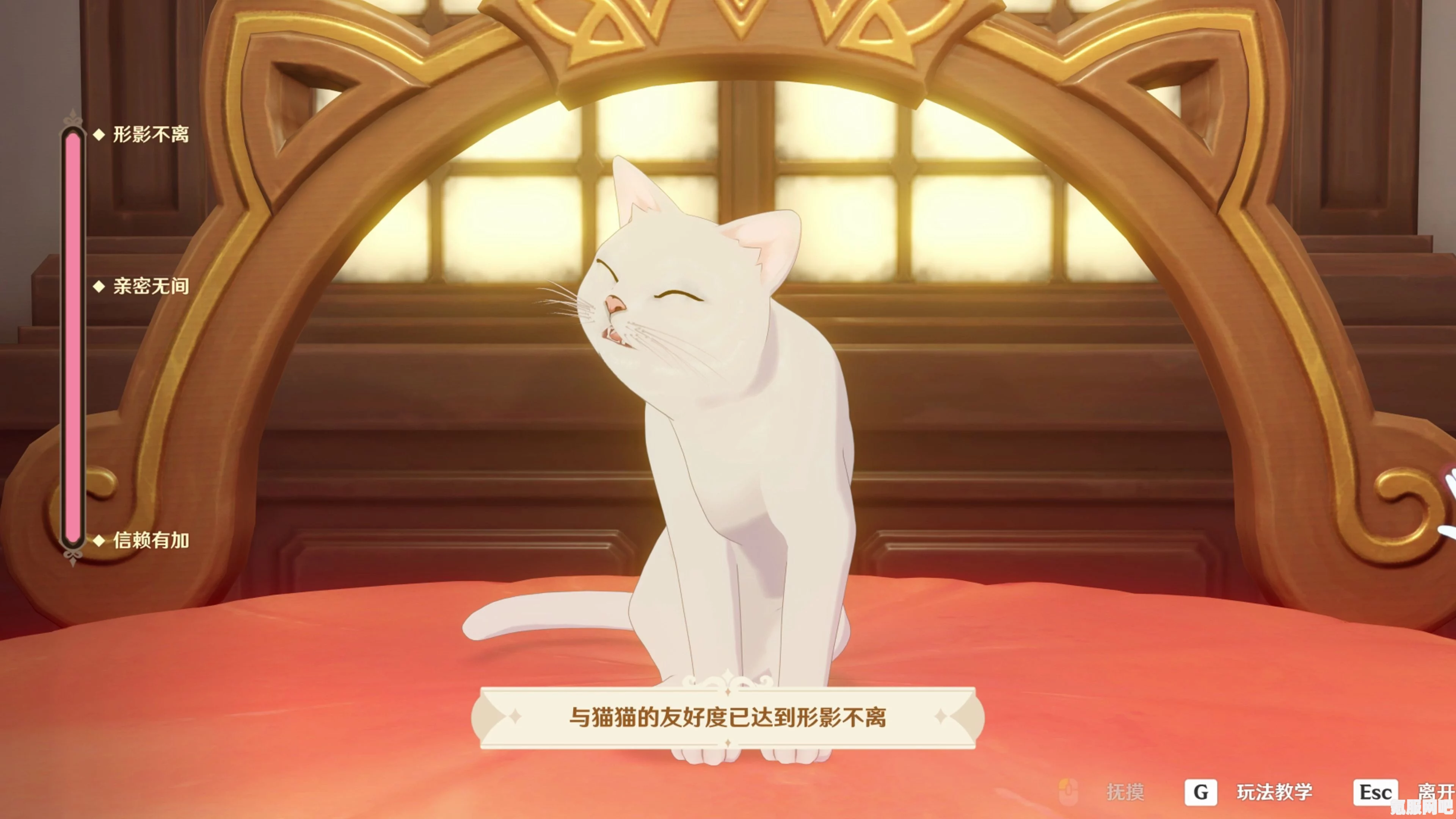 原神她和她的猫成就完成攻略详解
