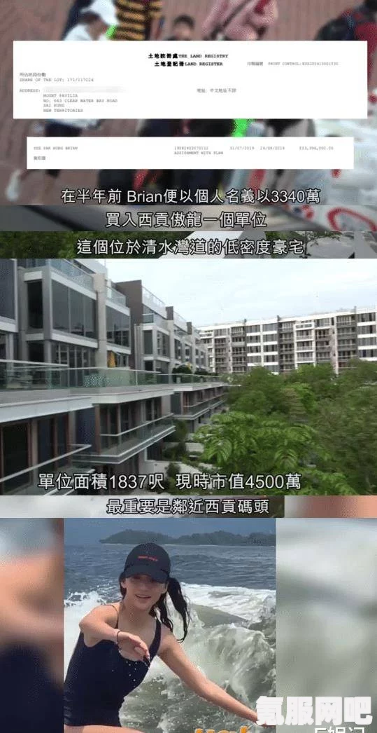 动物朋友王国啵啵毒花攻略大全，实战打法与技巧解析