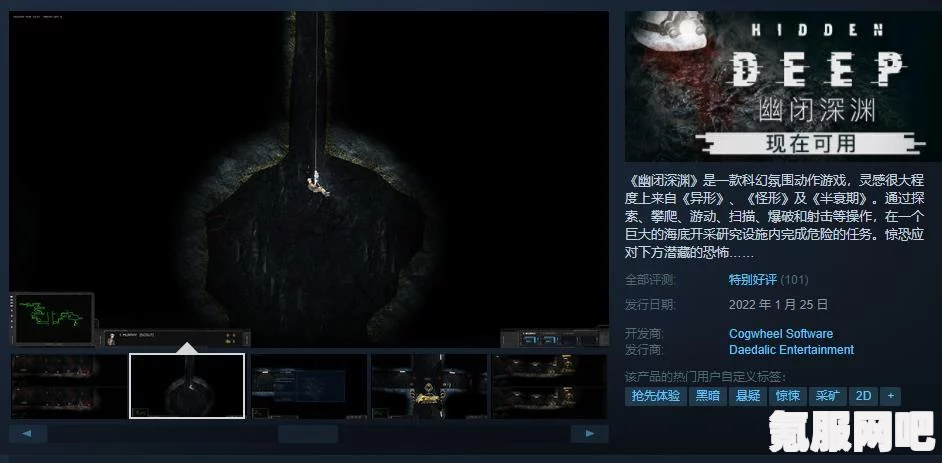 幽闭深渊游戏价格及购买指南，Steam平台购买攻略