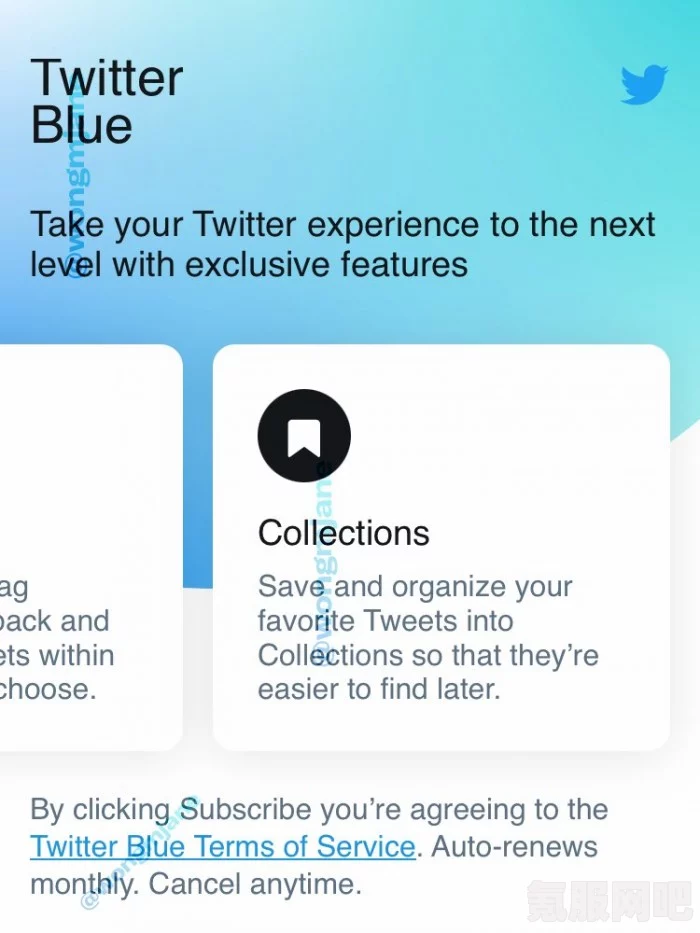 Twitter Blue订阅方法与指南