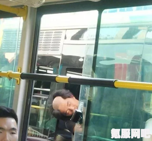 公交车高压锅梗深度解析，网络新梗探秘之旅