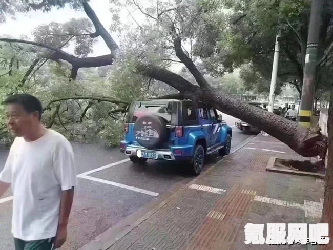 公交车高压锅梗详解，网络新梗探秘