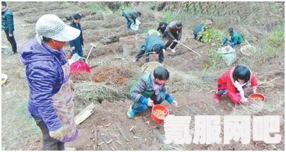 侠玩助手下载神医攻略，轻松获取游戏辅助神器