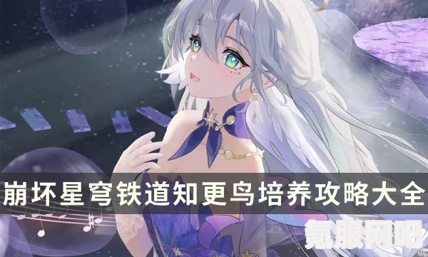 崩坏星穹铁道，知更鸟的养成指南与培养策略