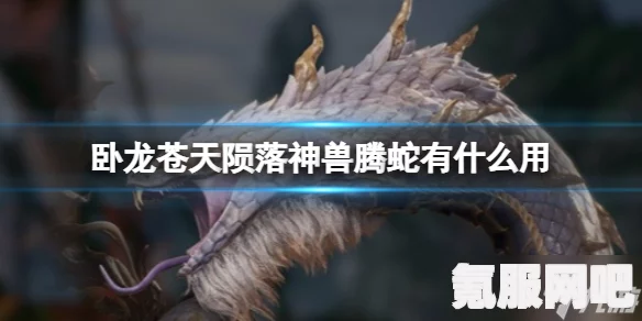 卧龙苍天陨落武勋的使用与功效解析