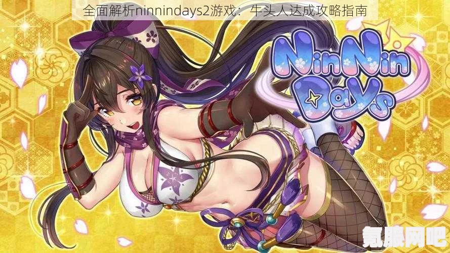 Ninnindays2剧情深度剖析与全面介绍