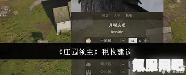 庄园领主税收攻略，如何合理有效地进行收税