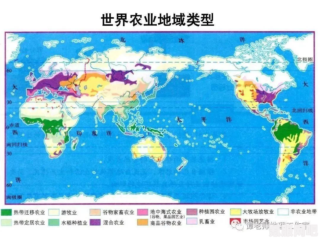 七日世界代顿湿地异常点位置详解与问答环节