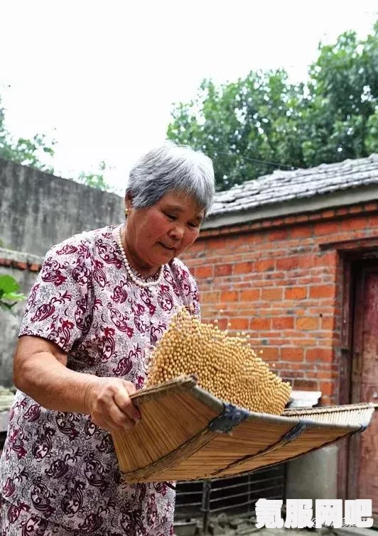 揭秘6馍现象，网络热梗背后的含义与故事