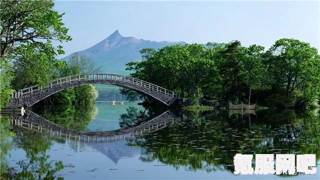 阴阳师孤独之境攻略详解，步步突破难关，赢取胜利之路