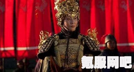 恶意不息皮甲布甲作用介绍及其实际应用