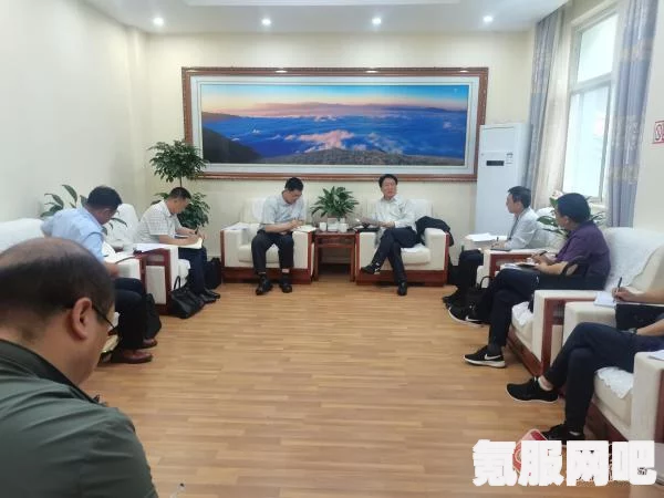 显卡性能天梯图，2022年最新指南与查找方法