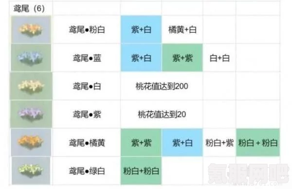 桃源深处有人家，菊花石蒜与报春花角堇的配种方案一览