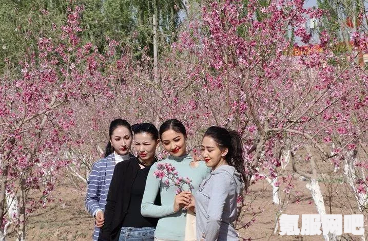 探寻恶意不息强力效果的食物，一次美食与力量的交融之旅