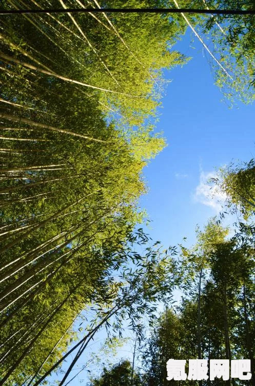 城市天际线2，全新篇章的上市时间预测与期待