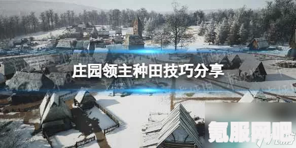 庄园领主种田流开局攻略及问答环节