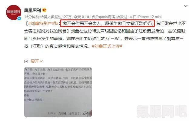 刘鑫正式上诉事件深度解析