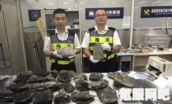 揭秘海关查获霍格沃茨之遗等光盘事件，800张光盘的背后故事