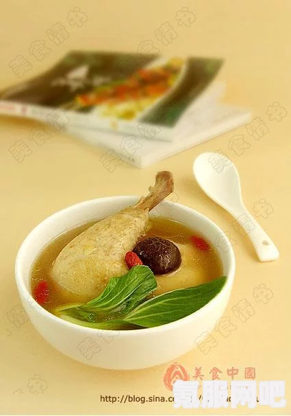 凌云诺药膳攻略大全，健康养生食谱打造指南