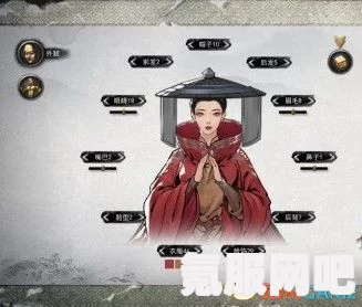 卧龙苍天陨落，维吉尔捏脸数据的使用指南与解析