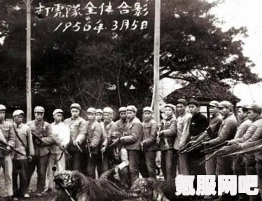 百英雄传全角色食物喜好一览