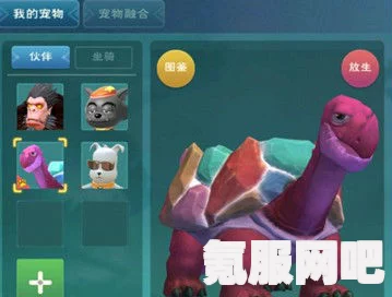 彩壳龟获取攻略，探索创造与魔法中的神秘位置，分享获取方法与技巧