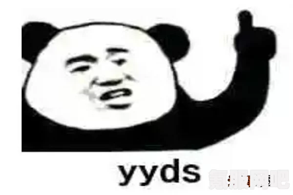 揭秘网络流行语，ybb的真实含义与背后的梗