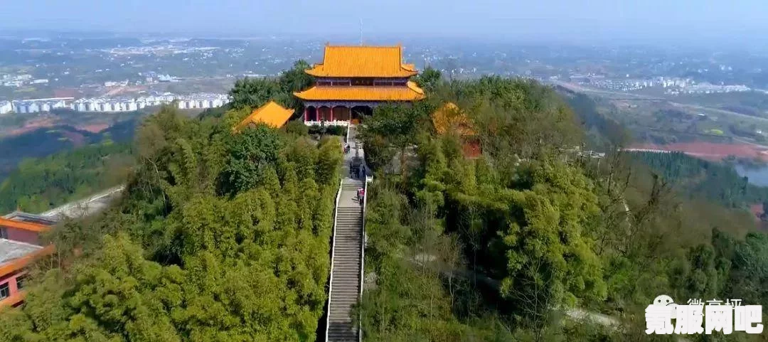 凌云之志称号攻略，获取荣誉象征的指南