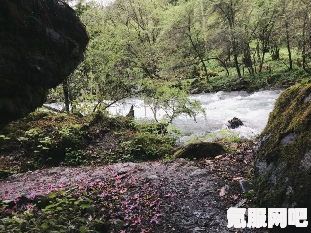 卧龙苍天陨落天山觅仙踪图文攻略，全章节地图探索收集流程详解